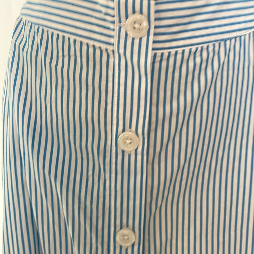 Blue Striped Button-Down Skirt - Picture 3 of 5